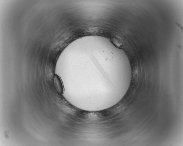 X0000102310566200808152044