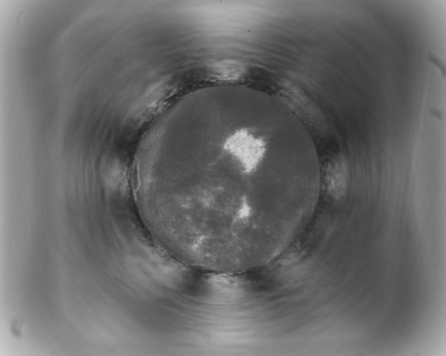 X0000102310568200808152044