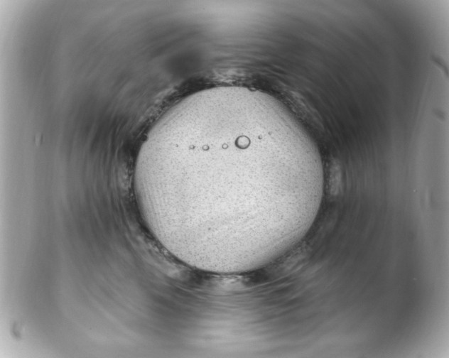 X0000102310569200808152044