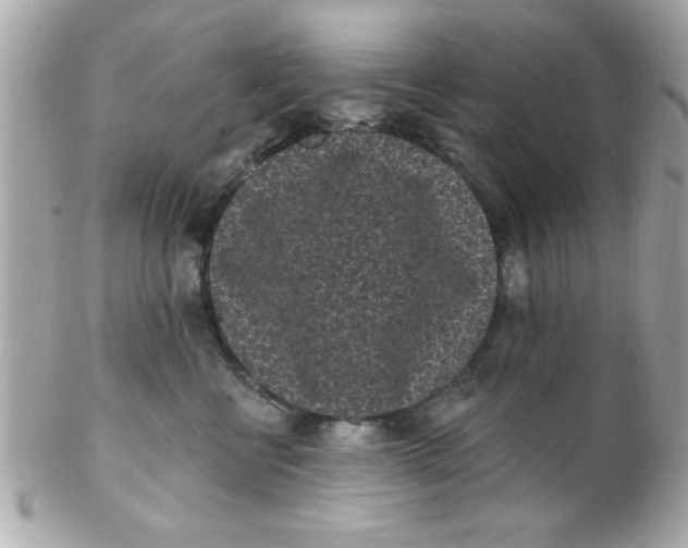 X0000102310570200808152044