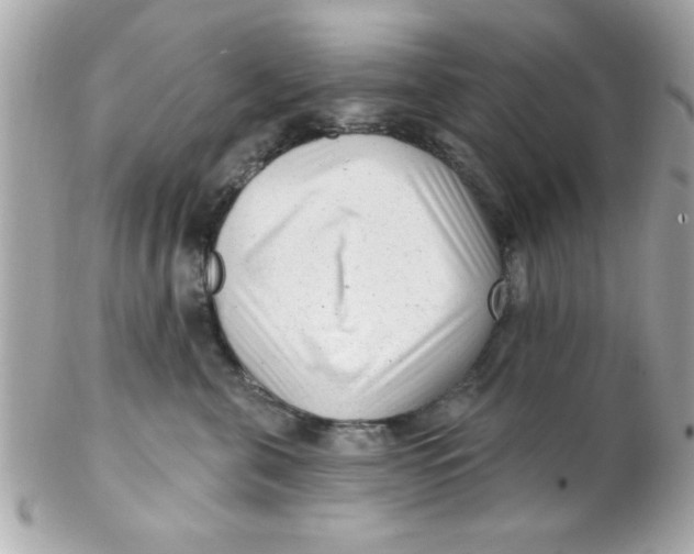 X0000102310571200808152044