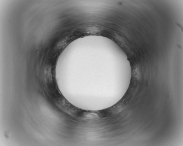 X0000102310572200808152044