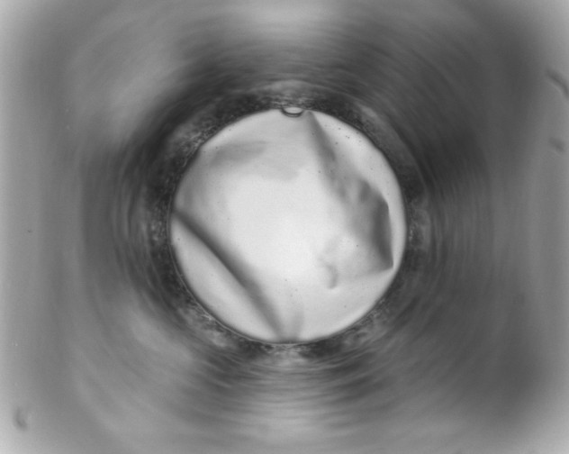 X0000102310573200808152044