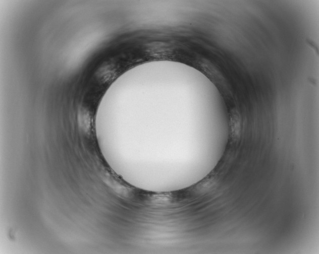 X0000102310574200808152044