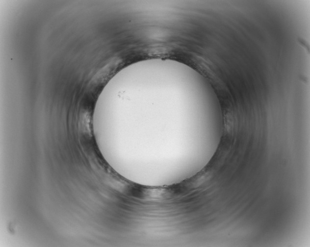 X0000102310575200808152044