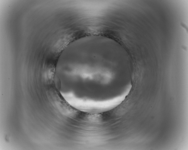 X0000102310576200808152044