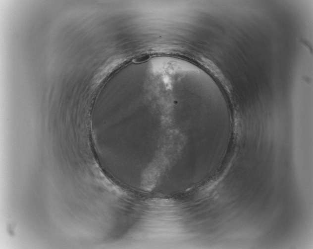 X0000102310577200808152043