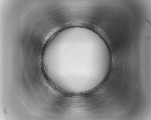 X0000102310578200808152043