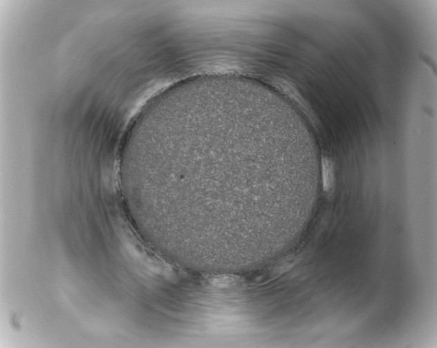 X0000102310579200808152043