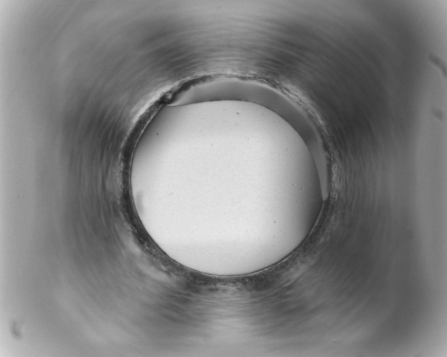 X0000102310580200808152043