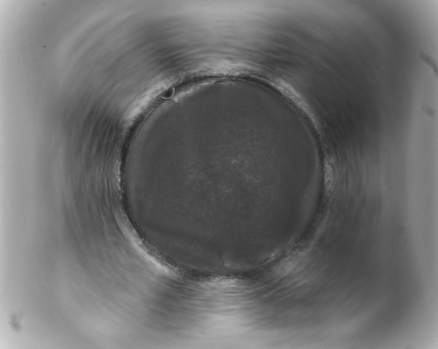 X0000102310581200808152043