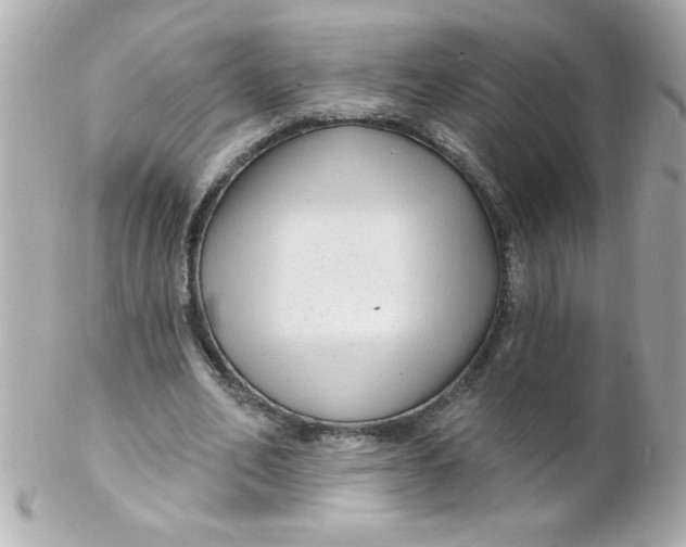 X0000102310582200808152043