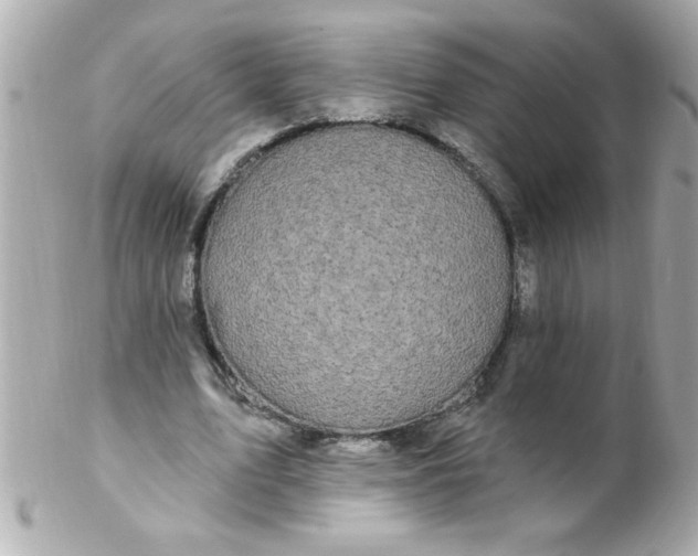 X0000102310583200808152043