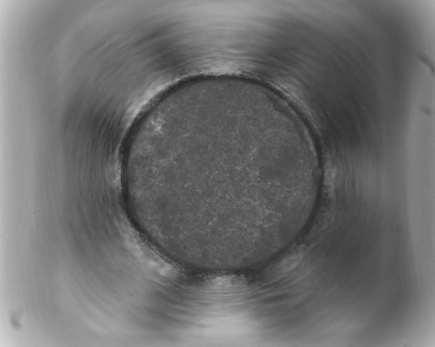 X0000102310584200808152043