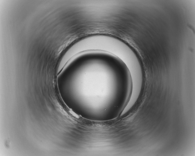 X0000102310585200808152043