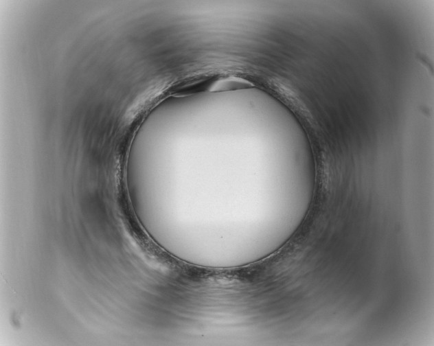 X0000102310586200808152043
