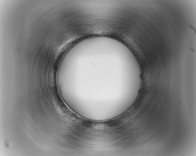 X0000102310587200808152043