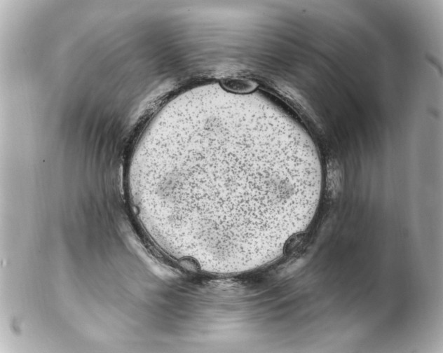X0000102310589200808152043