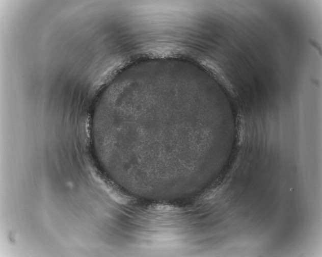 X0000102310590200808152043