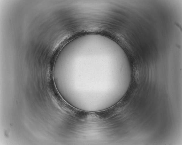 X0000102310591200808152043