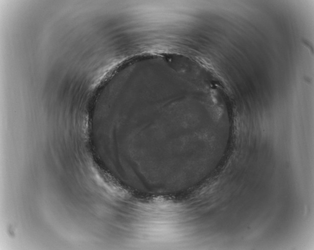 X0000102310592200808152043