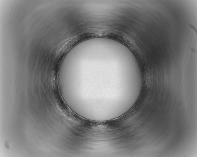 X0000102310594200808152043