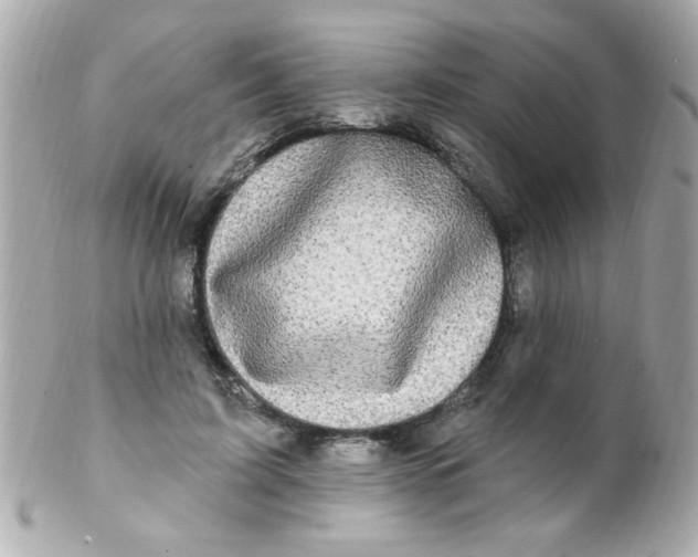 X0000102310595200808152043