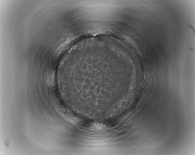 X0000102310596200808152043