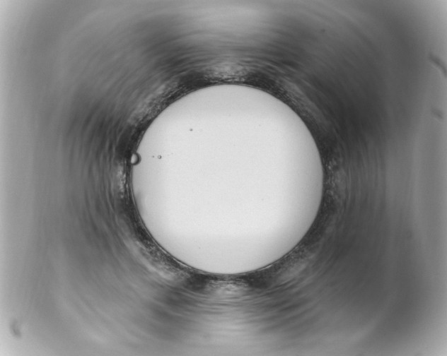 X0000102310597200808152043