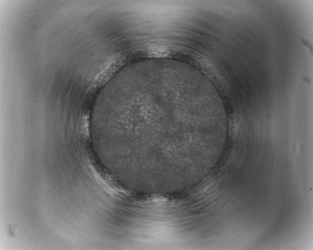 X0000102310598200808152043