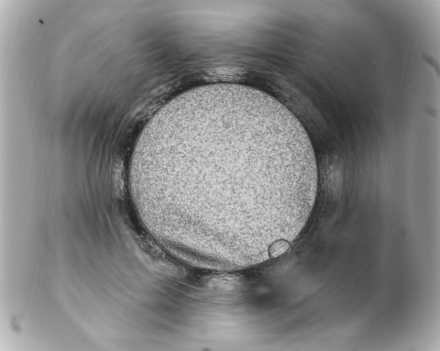 X0000102310599200808152043