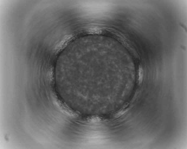 X0000102310600200808152043