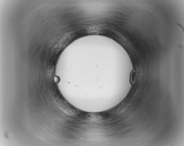 X0000102310601200808152043