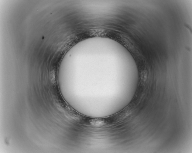 X0000102310602200808152043