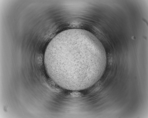 X0000102310603200808152043