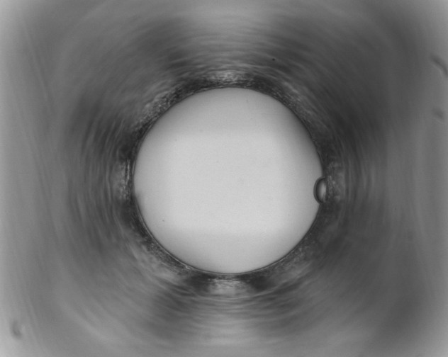 X0000102310605200808152043