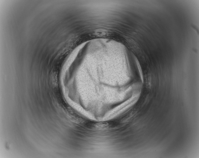X0000102310606200808152043