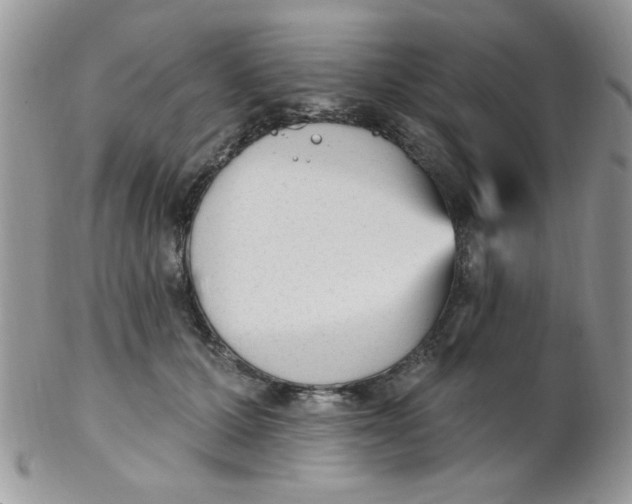 X0000102310607200808152043