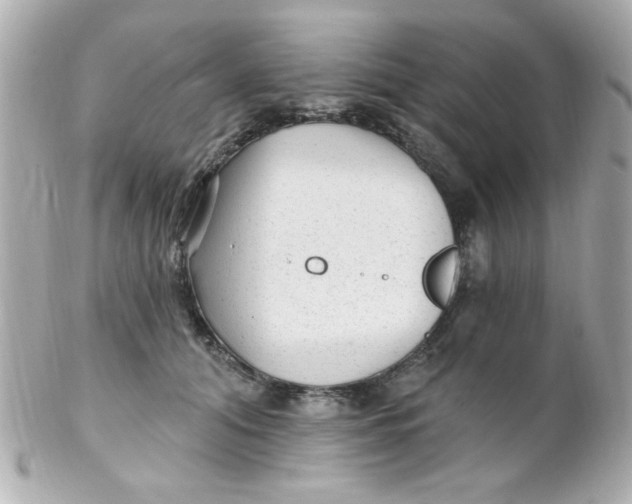 X0000102310608200808152043