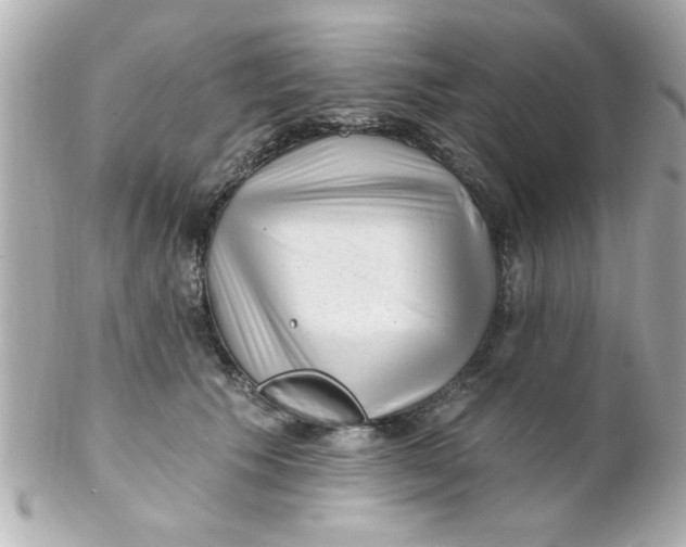 X0000102310609200808152043