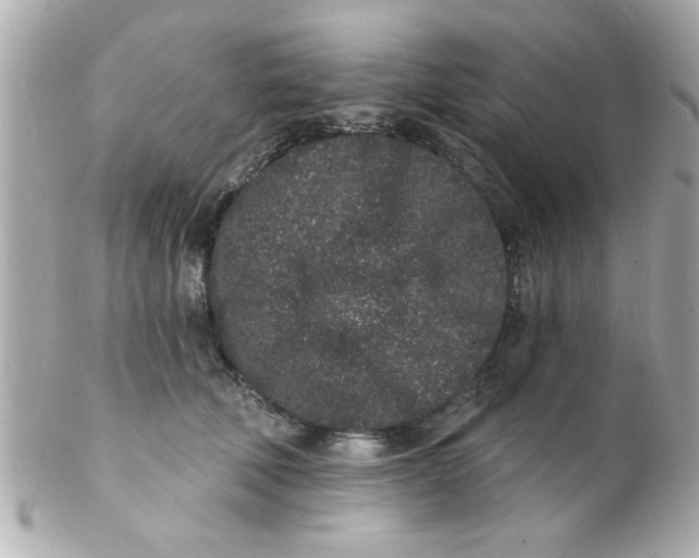 X0000102310610200808152043