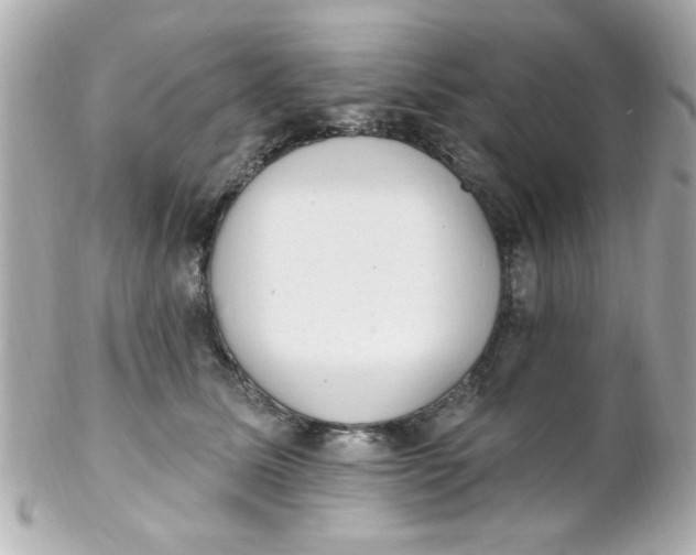 X0000102310611200808152043