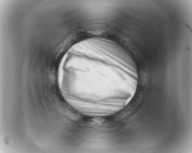 X0000102310612200808152043