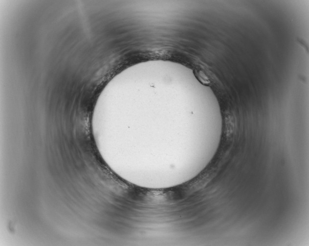 X0000102310613200808152043