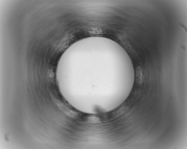 X0000102310614200808152043