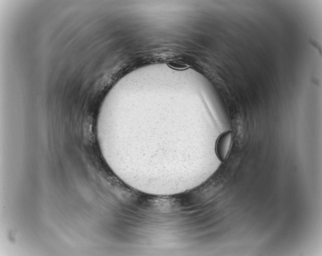 X0000102310615200808152043
