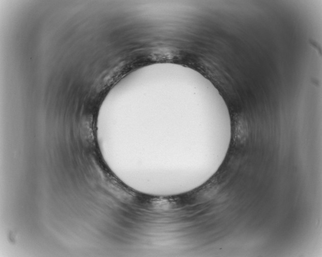 X0000102310616200808152043