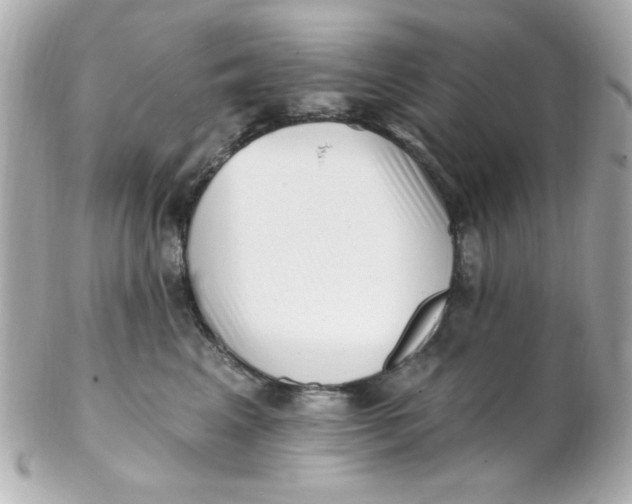 X0000102310617200808152043