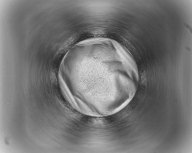 X0000102310618200808152043