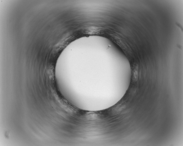 X0000102310620200808152043